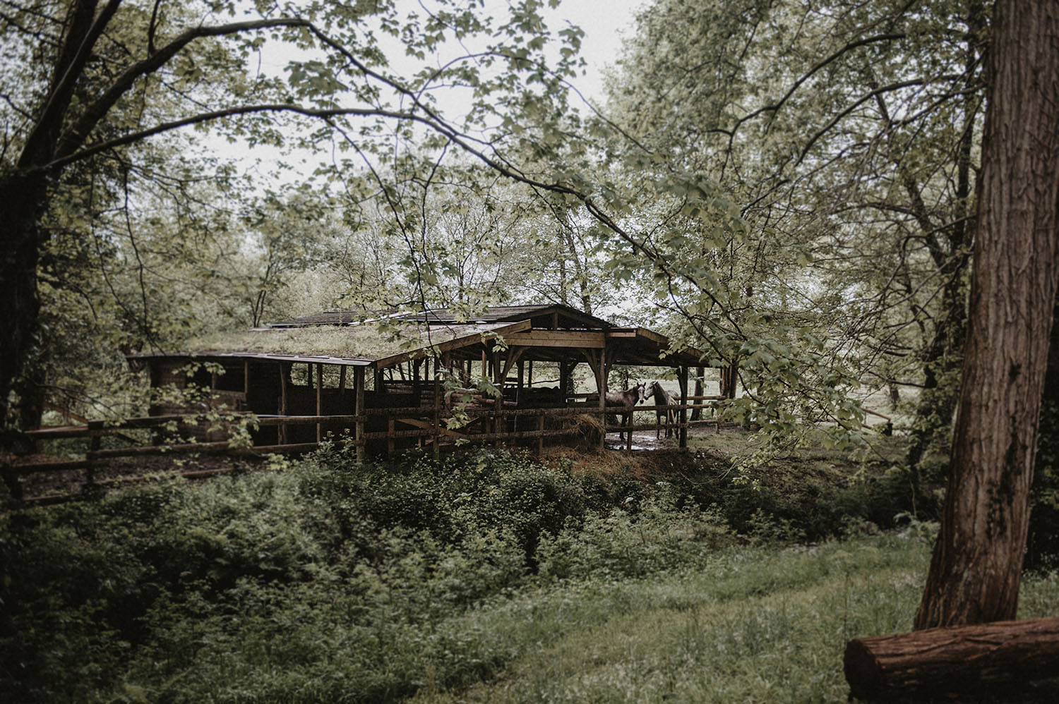Coco Barn Wood Lodge, mariage folk au ranch à Angresse, Landes.